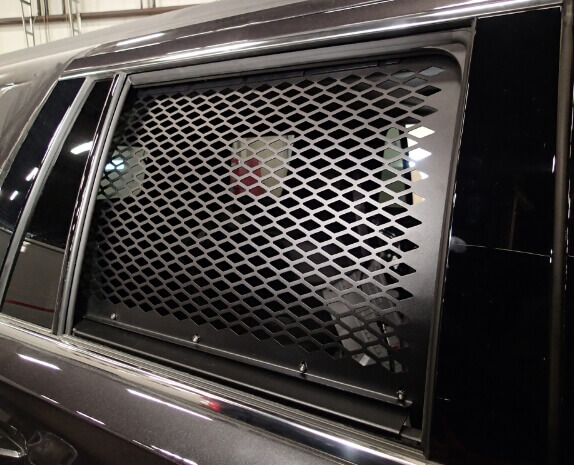 Window Guards