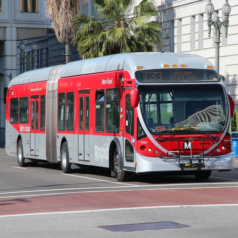Bus